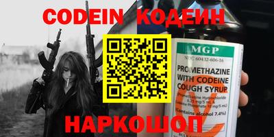 хмурый Кингисепп