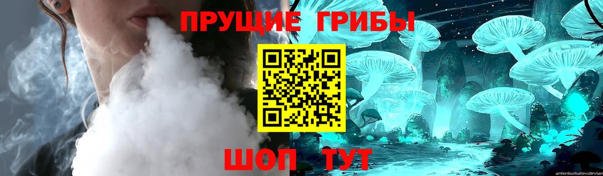 Ростов-на-Дону  Псилоцибиновые грибы мицелий  Вход с VPN  Галлюциногенные грибы ЛСД 